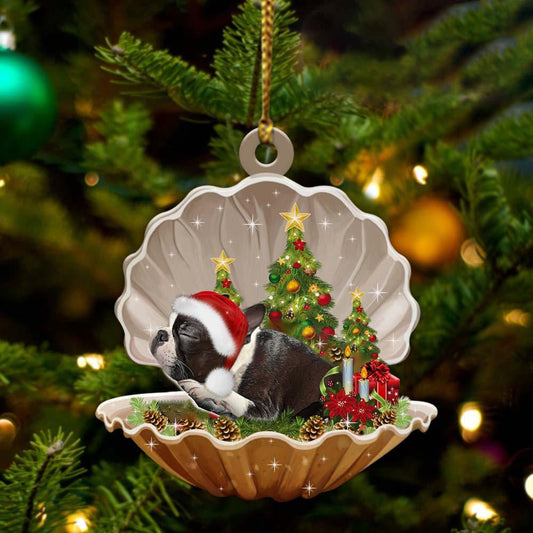 Boston Terrier-Sleeping Pearl in Christmas Two Sided Christmas Plastic Hanging Ornament, Christmas Ornament Gift, Christmas Gift, Christmas Decoration