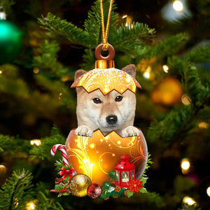 Shiba Inu In Golden Egg Christmas Ornament, Pet Love Gift, Christmas Ornament, Christmas Gift