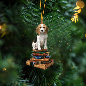 Beagle-Sit On The Book Two Sides Christmas Plastic Hanging Ornament, Christmas Ornament Gift, Christmas Gift, Christmas Decoration