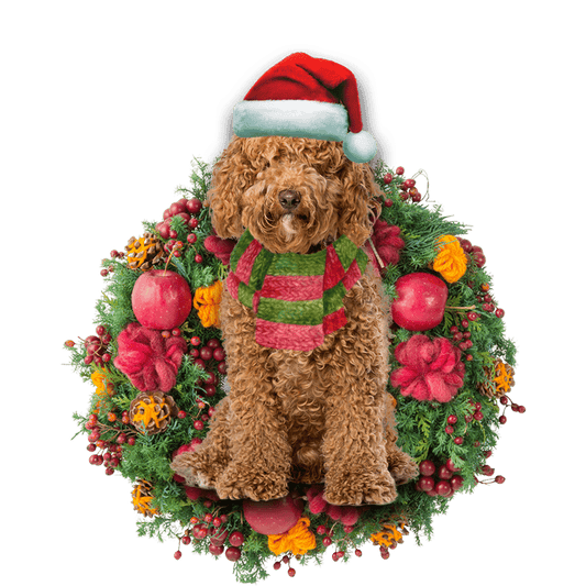 Brown Labradoodle Christmas Christmas Plastic Hanging Ornament, Happy Christmas Ornament, Christmas Gift, Christmas Decoration