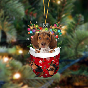 Beagle-In Christmas Pocket Two Sides Christmas Plastic Hanging Ornament, Christmas Ornament Gift, Christmas Gift, Christmas Decoration