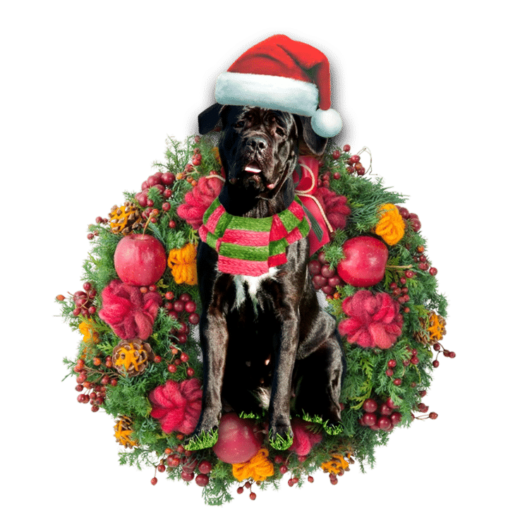 Cane Corso Christmas Ornament, Happy Christmas Ornament, Christmas Gift, Christmas Decoration