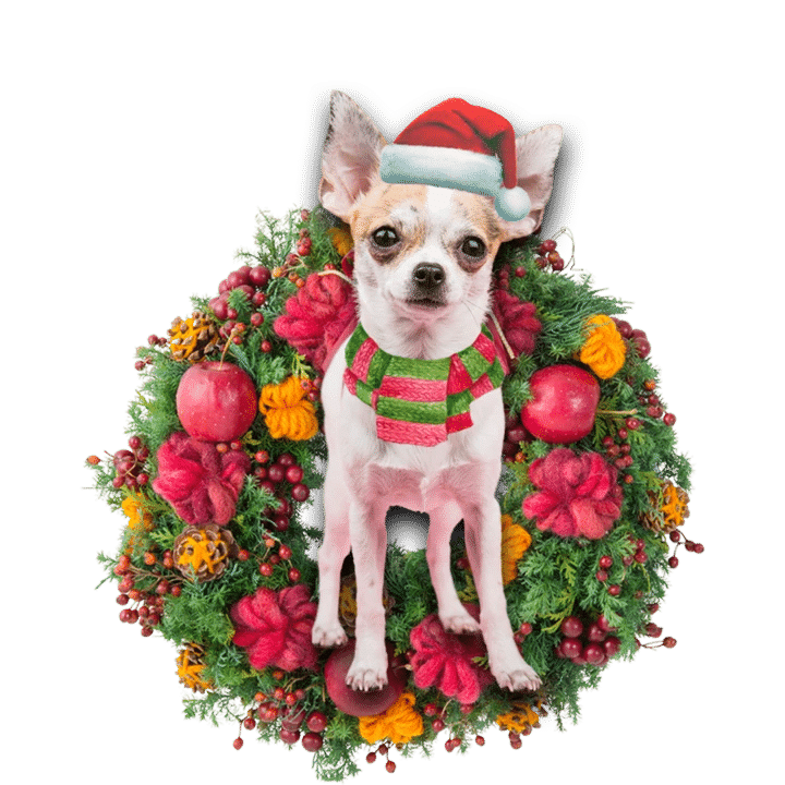 Chihuahua Christmas Ornament, Happy Christmas Ornament, Christmas Gift, Christmas Decoration