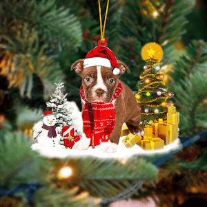 Boston Terrier Christmas Ornament, Christmas Ornament Gift, Christmas Gift, Christmas Decoration