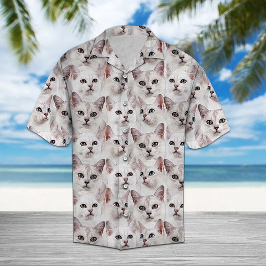 Bailiúchán Aghaidheanna Uathúla Ainmhithe Burmilla ar Théama Léine Haváís, Bronntanas Léine Haváís, Bronntanas Nollag