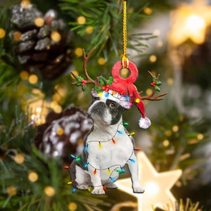 Boston Terriers Christmas Shape Christmas Plastic Hanging Ornament, Christmas Ornament Gift, Christmas Gift, Christmas Decoration