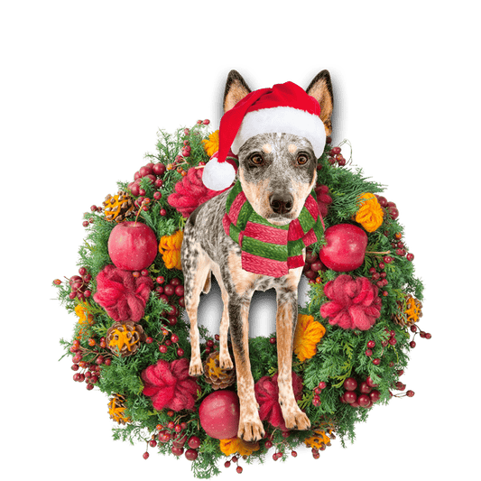 Gorm Heeler Nollag Ornáid Crochta Plaisteach Nollag, Bronntanas Ornáide Nollag, Bronntanas Nollag, Maisiú Nollag