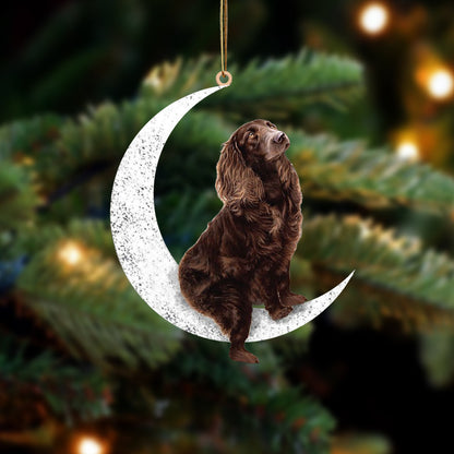 Boykin Spaniel-Sit On The Moon-Two Sided Christmas Plastic Hanging Ornament, Christmas Ornament Gift, Christmas Gift, Christmas Decoration
