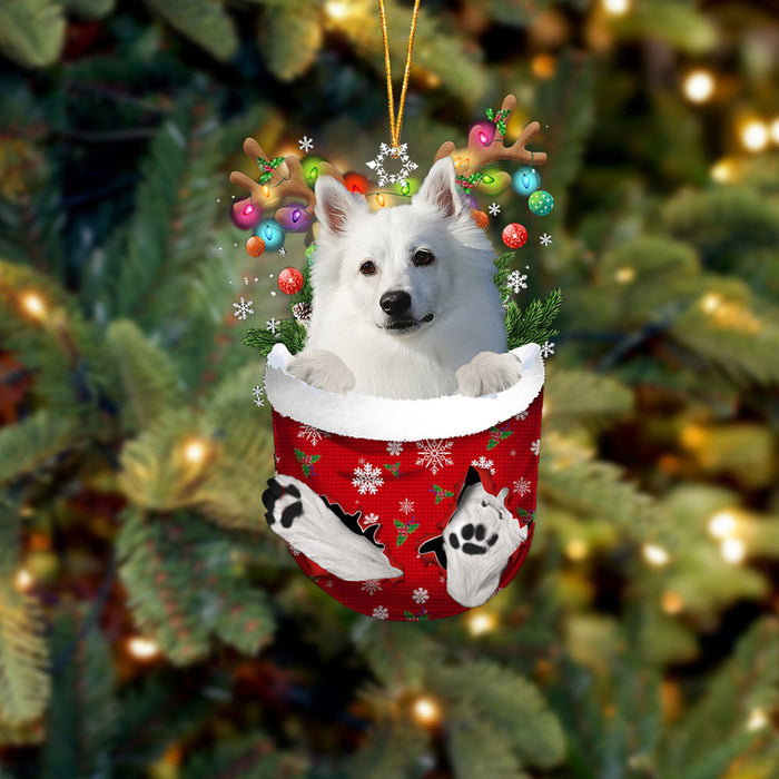 American Eskimo In Snow Pocket Christmas Ornament Flat Acrylic Dog Ornament, Christmas Shape Ornament, Happy Christmas Ornament, Christmas Ornament Gift, Christmas Gift, Christmas Decoration