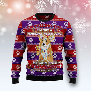 Pembroke Welsh Corgi Baby Christmas Ugly Christmas Sweater,Christmas Gift,Gift Christmas 2024