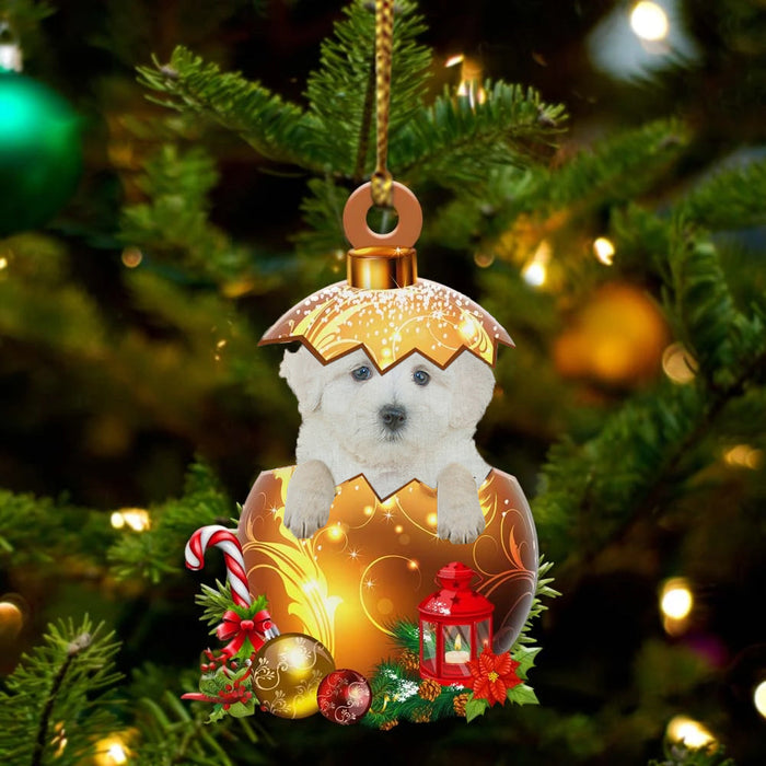 Cute Maltipoo In Golden Egg Christmas Ornament, Pet Love Gift, Christmas Ornament, Christmas Gift