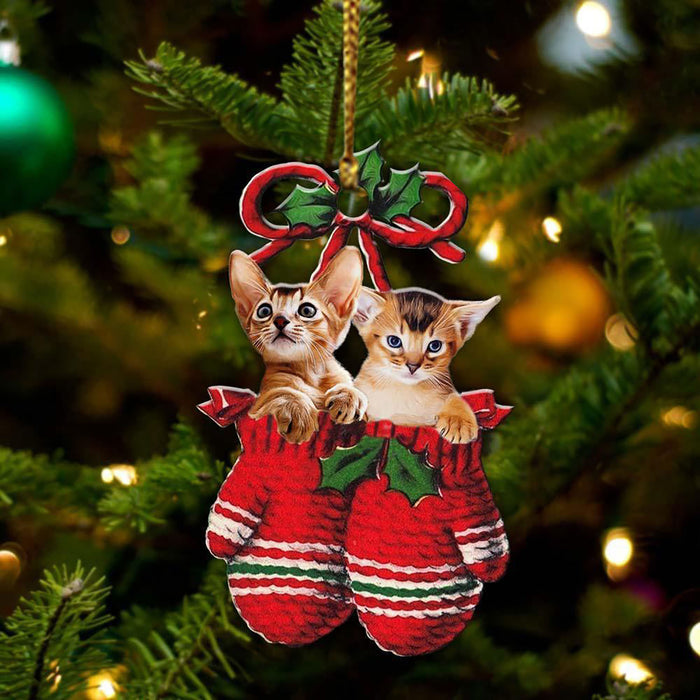 Abyssinian Inside Your Gloves Christmas Holiday-Two Sided Christmas Plastic Hanging Ornament, Christmas Ornament Gift, Christmas Gift, Christmas Decoration