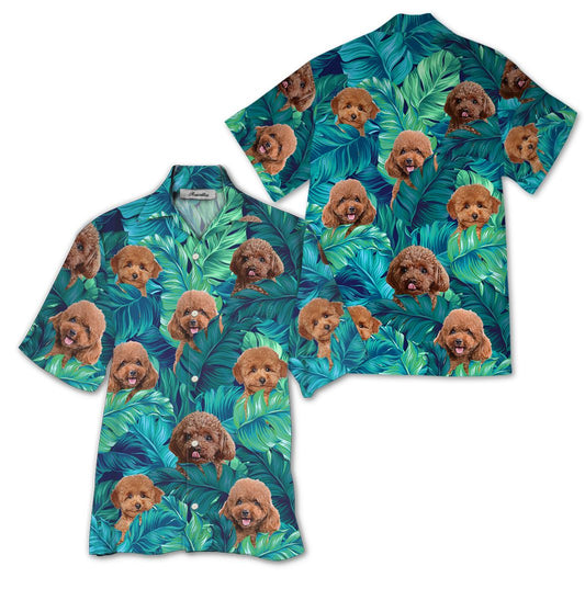 Léine Haváís Poodle, Bronntanas Léine Haváís, Bronntanas Nollag