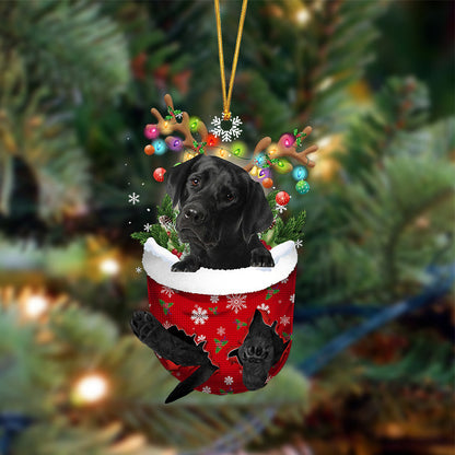 BLACK Labrador-In Christmas Pocket Two Sides Christmas Plastic Hanging Ornament, Christmas Ornament Gift, Christmas Gift, Christmas Decoration