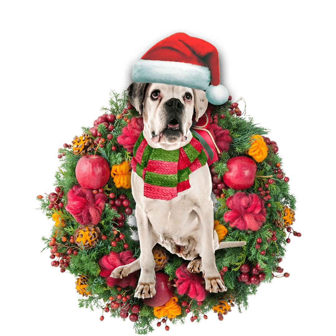 Boxer Dog Christmas Christmas Plastic Hanging Ornament, Christmas Ornament Gift, Christmas Gift, Christmas Decoration