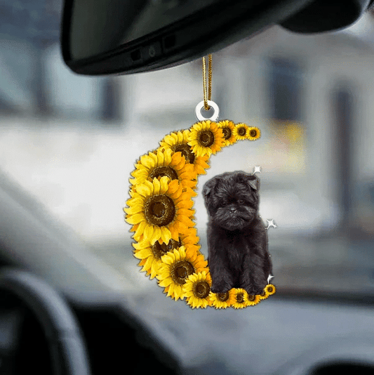 Affenpinscher Christmas Ornament, Christmas Gift, Christmas Decoration