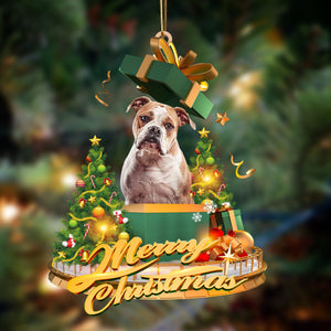 American Bulldog-Christmas Gifts&dogs Hanging Christmas Plastic Hanging Ornament, Christmas Gift, Christmas Decoration