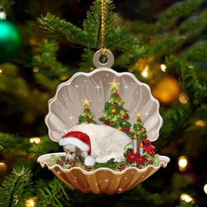 American Eskimo-Sleeping Pearl in Christmas Two Sided Christmas Plastic Hanging Ornament, Christmas Ornament Gift, Christmas Gift, Christmas Decoration