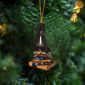 Afghan Hound2-Sit On The Book Two Sides Christmas Plastic Hanging Ornament, Christmas Gift, Christmas Decoration