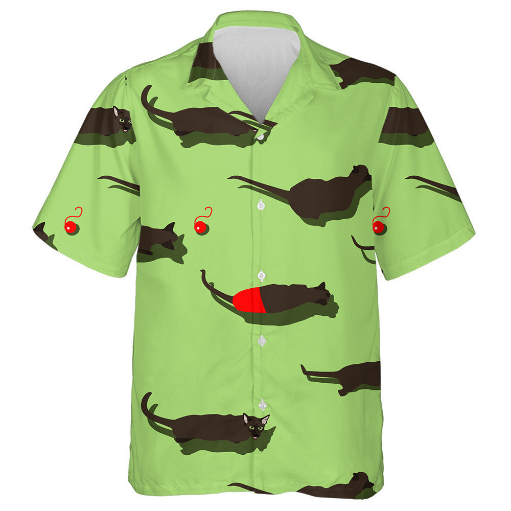 Cat Dubh Oriental Ar Chúlra Glas Léine Haváí, Haváise Don Bronntanas