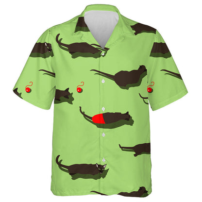 Cat Dubh Oriental Ar Chúlra Glas Léine Haváí, Haváise Don Bronntanas