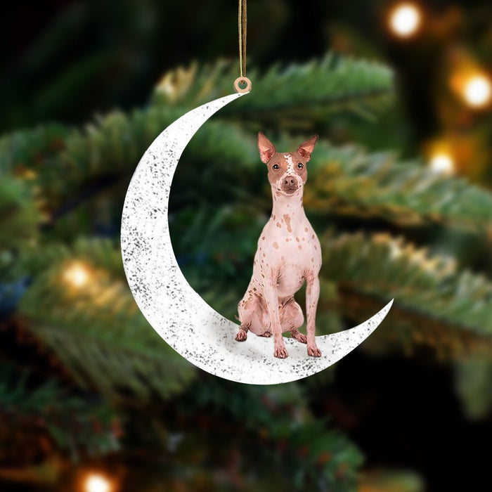 American Hairless Terrier-Sit On The Moon-Two Sided Christmas Plastic Hanging Ornament, Christmas Ornament Gift, Christmas Gift, Christmas Decoration