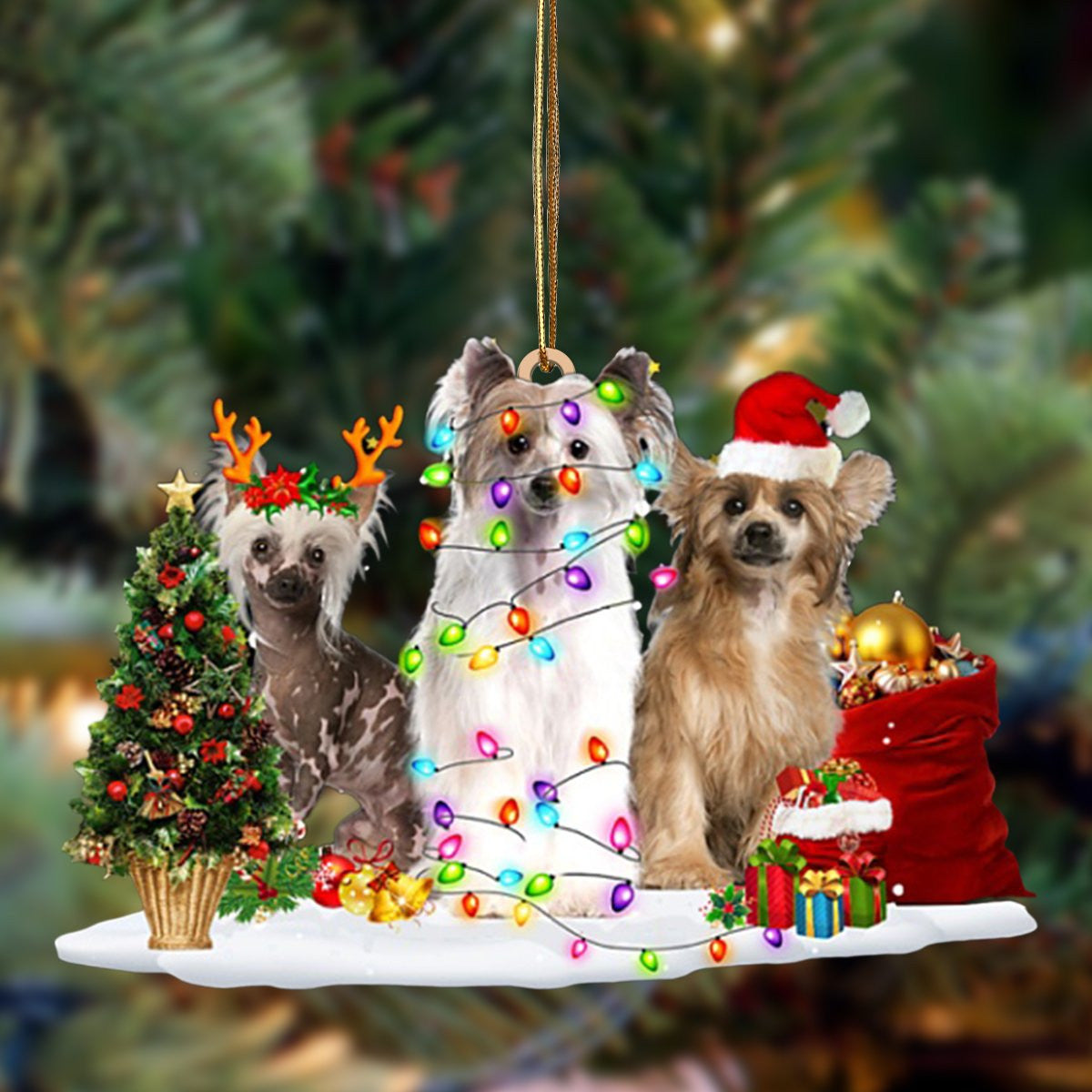 Chinese Crested Dog-Christmas Dog Friends Hanging Christmas Plastic Hanging Ornament, Christmas Gift, Christmas Decoration