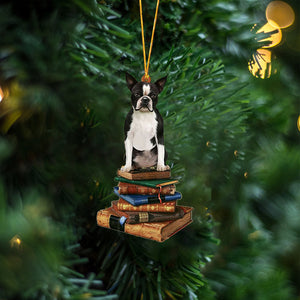 Boston Terrier-Sit On The Book Two Sides Christmas Plastic Hanging Ornament, Christmas Ornament Gift, Christmas Gift, Christmas Decoration