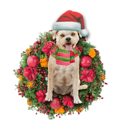 Border Terrier Christmas Christmas Plastic Hanging Ornament, Christmas Ornament Gift, Christmas Gift, Christmas Decoration