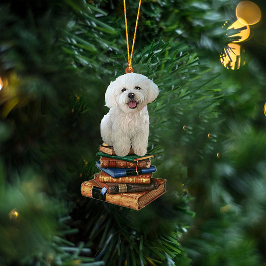 Bichon Frise-Sit On The Book Two Sides Christmas Plastic Hanging Ornament, Christmas Ornament Gift, Christmas Gift, Christmas Decoration