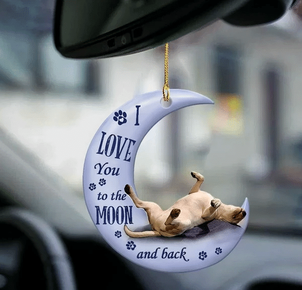 Tarbh-Bhrocaire Ornáid Nollag, Ornáid Nollag Shona, Bronntanas Nollag, Maisiú na Nollag