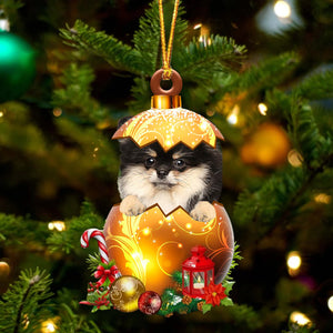 Pomeranian In Golden Egg Christmas Ornament, Pet Love Gift, Christmas Ornament, Christmas Gift