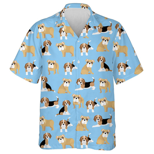 Bulldog Agus Beagle ar Chúlra Gorm Léine Haváí, Haváis mar Bhronntanas