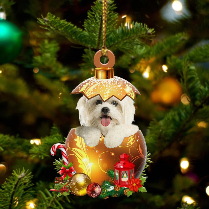 Maltese In Golden Egg Christmas Ornament, Pet Love Gift, Christmas Ornament, Christmas Gift-1