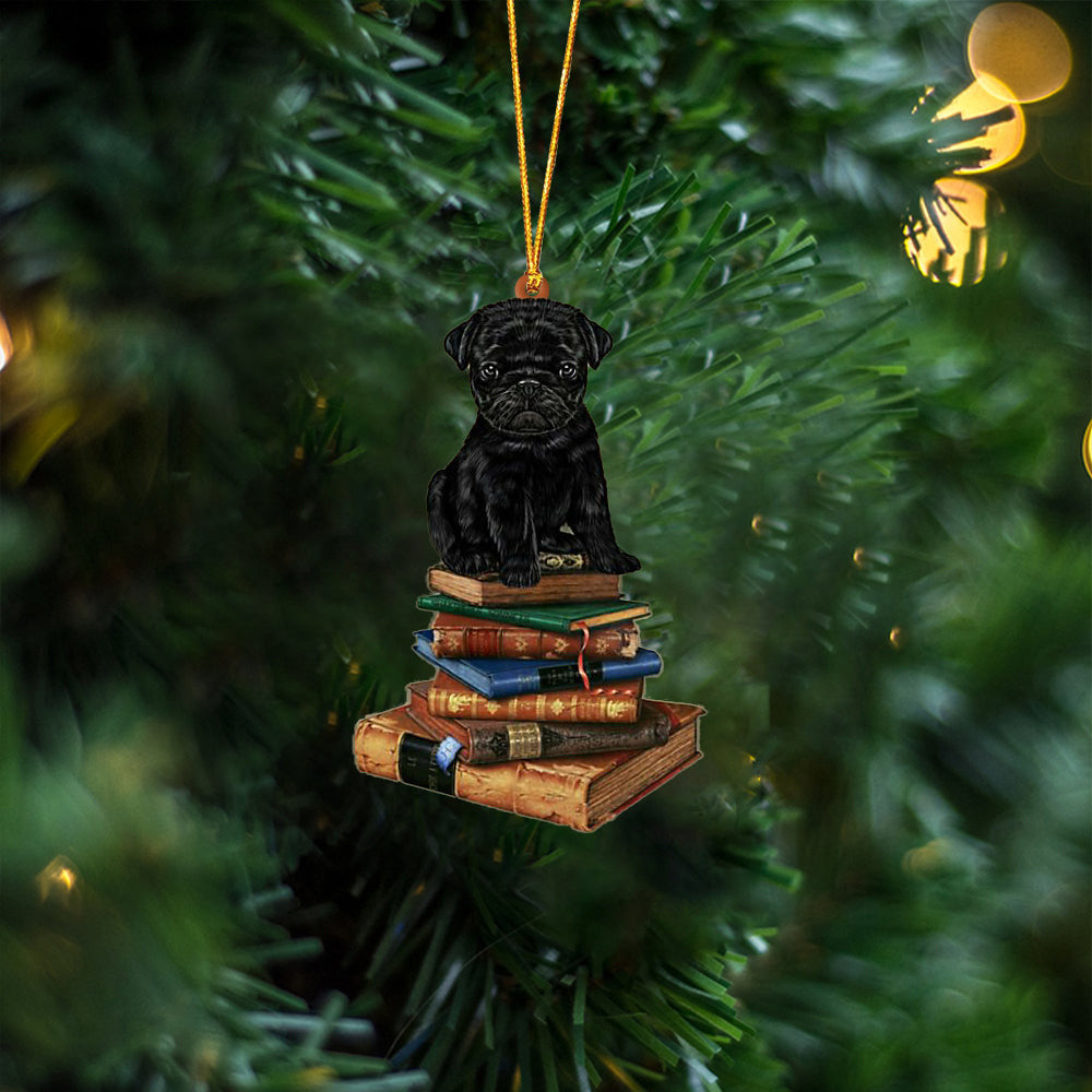 Black Pug-Sit On The Book Two Sides Christmas Plastic Hanging Ornament, Christmas Ornament Gift, Christmas Gift, Christmas Decoration