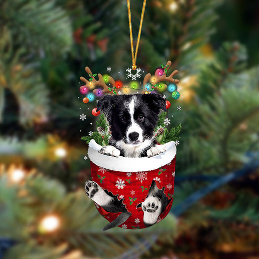Border Collie-In Christmas Pocket Two Sides Christmas Plastic Hanging Ornament, Christmas Ornament Gift, Christmas Gift, Christmas Decoration