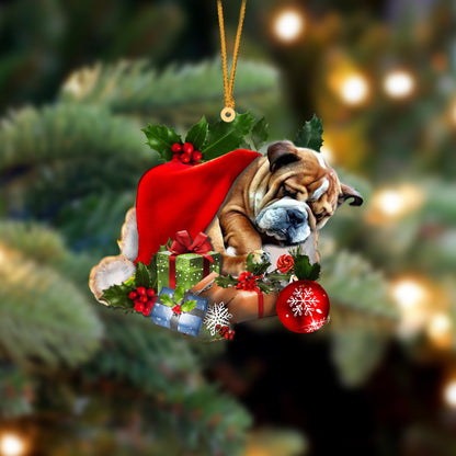 Bulldog-Sleeping In Hat Two Sides Christmas Plastic Hanging Ornament, Happy Christmas Ornament, Christmas Gift, Christmas Decoration