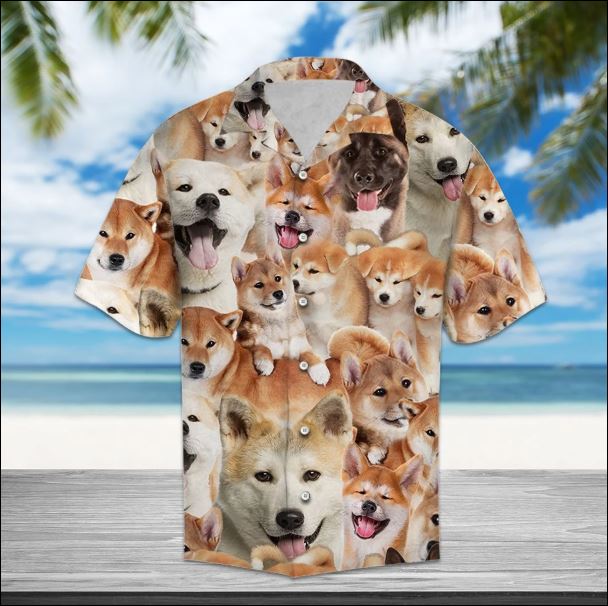 Léine Haváís Akika – Dnstyles, Bronntanas Léine Haváíais, Bronntanas Nollag