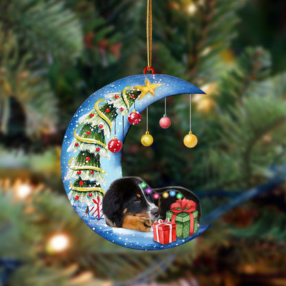 Bernese Mountain Dog-Sleep On The Moon Christmas Two Sided Christmas Plastic Hanging Ornament, Christmas Ornament Gift, Christmas Gift, Christmas Decoration