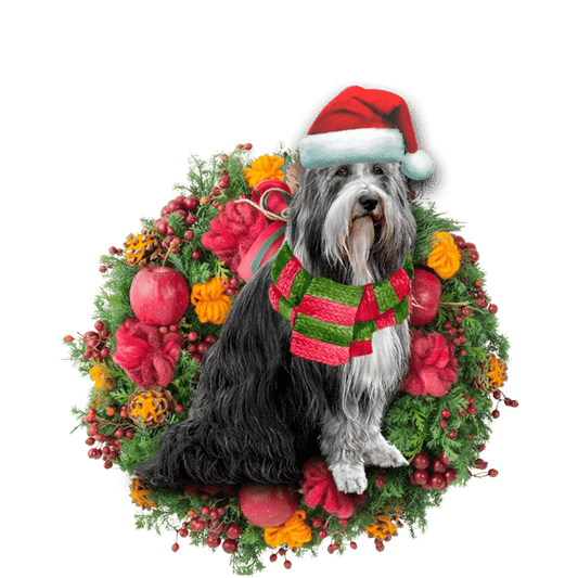 Bearded Collie Christmas Ornament, Christmas Ornament Gift, Christmas Gift, Christmas Decoration