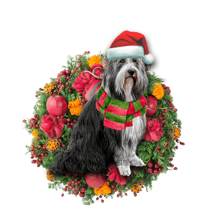 Bearded Collie Christmas Christmas Plastic Hanging Ornament, Christmas Ornament Gift, Christmas Gift, Christmas Decoration