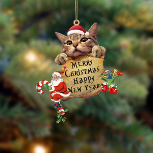 Cat-Christams & New Year Two Sided Christmas Plastic Hanging Ornament, Happy Christmas Ornament, Christmas Gift, Christmas Decoration