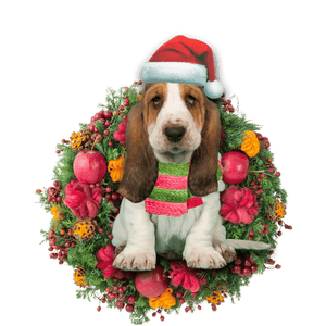 Basset Hound Christmas Ornament, Christmas Ornament Gift, Christmas Gift, Christmas Decoration