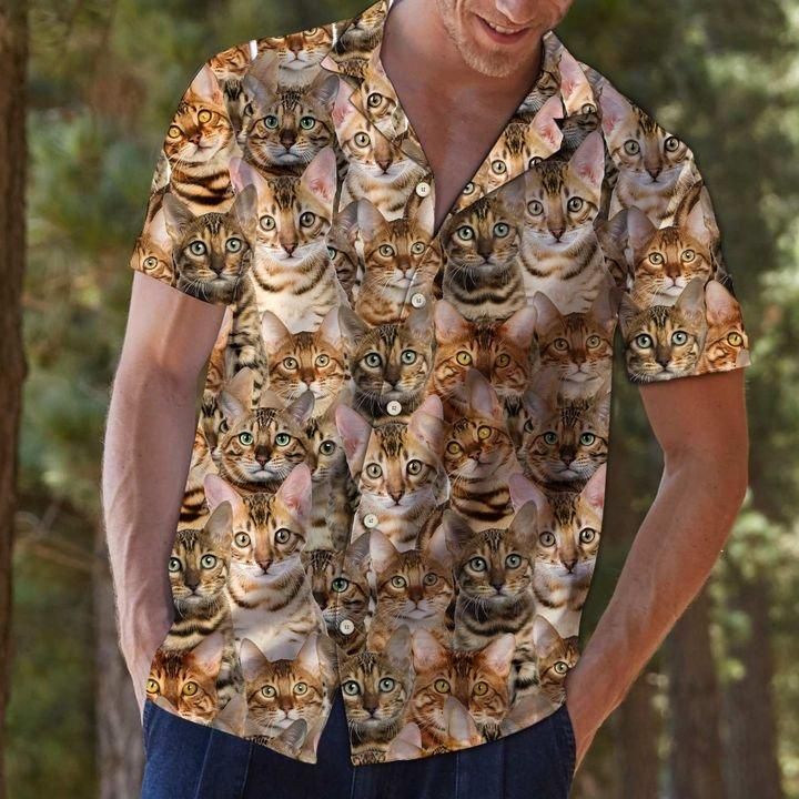 Léine Haváís Bengal, Bronntanas Léine Haváís, Bronntanas Nollag