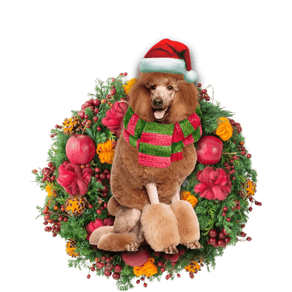 Brown Poodle Christmas Christmas Plastic Hanging Ornament, Happy Christmas Ornament, Christmas Gift, Christmas Decoration