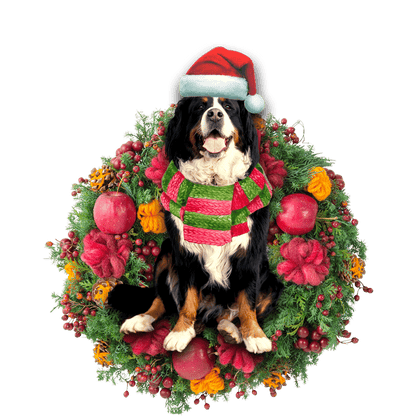 Bernese Mountain Christmas Christmas Plastic Hanging Ornament, Christmas Ornament Gift, Christmas Gift, Christmas Decoration