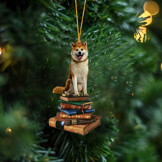Akita-Sit On The Book Two Sides Christmas Plastic Hanging Ornament, Christmas Ornament Gift, Christmas Gift, Christmas Decoration