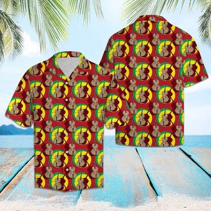 Cello Group Hawaiian Shirt Summer, Hwaiian For Gift