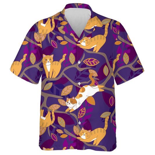 Cat Sinséar Dearg Oráiste Ar Chraobh Léine Haváise, Bronntanas Léine Haváíais, Bronntanas Nollag