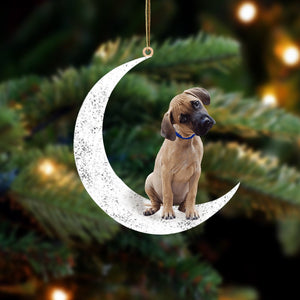 Black Mouth Cur-Sit On The Moon-Two Sided Christmas Plastic Hanging Ornament, Christmas Ornament Gift, Christmas Gift, Christmas Decoration